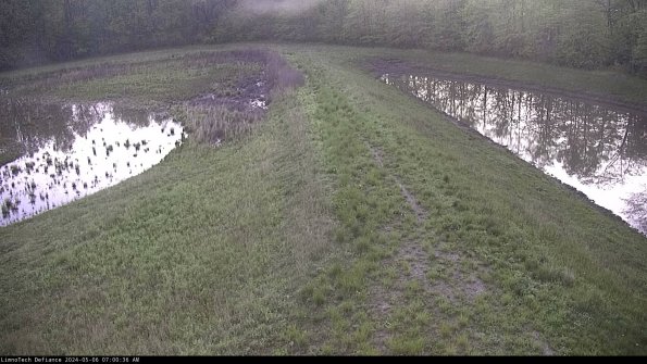 Cell 4 to Basin_24-05-06_07-00-37-34