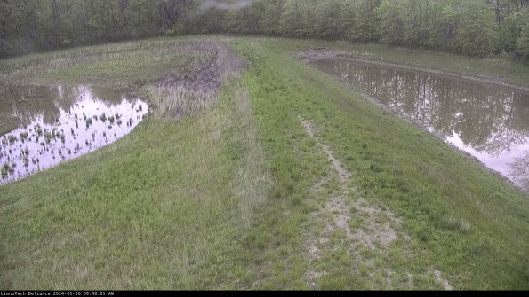 Cell 4 to Basin_24-05-06_09-48-06-34