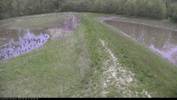 Cell 4 to Basin_24-05-06_13-09-03-36