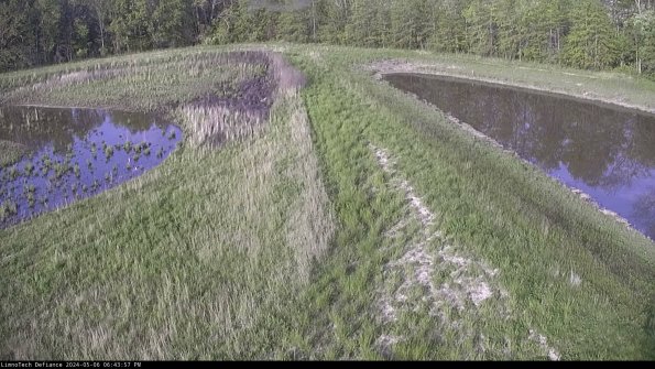 Cell 4 to Basin_24-05-06_18-43-58-32