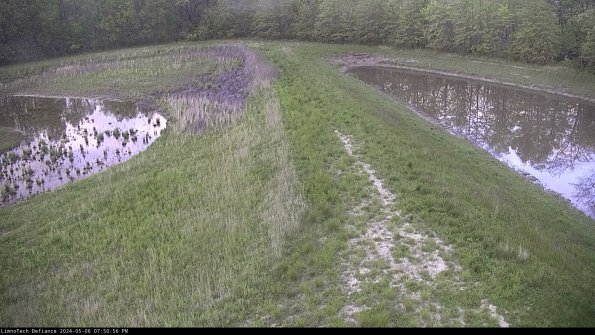 Cell 4 to Basin_24-05-06_19-50-57-37