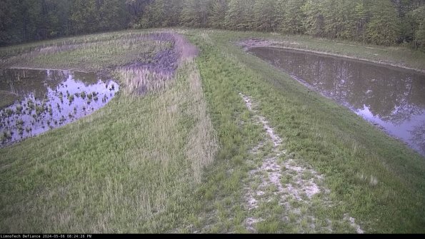 Cell 4 to Basin_24-05-06_20-24-27-32