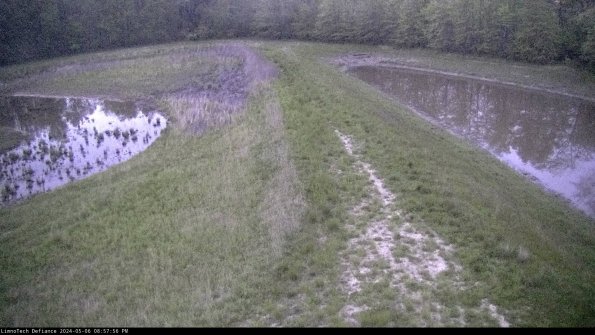 Cell 4 to Basin_24-05-06_20-57-57-38