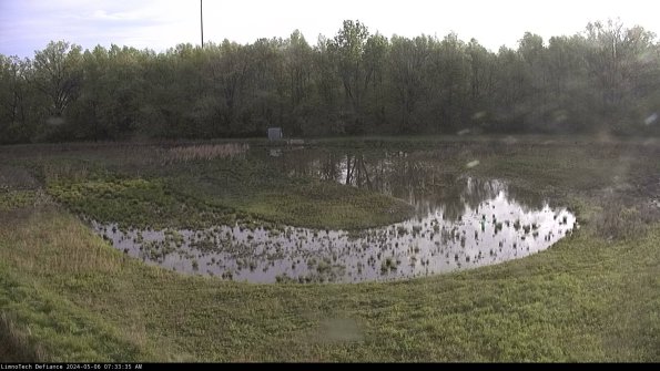 Cell 4_24-05-06_07-33-36-34