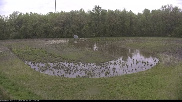 Cell 4_24-05-06_09-14-06-32