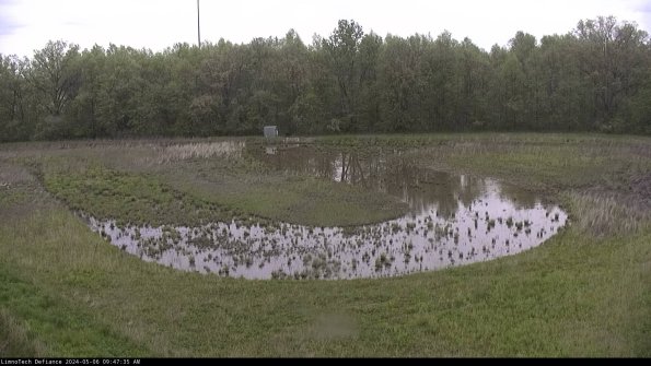 Cell 4_24-05-06_09-47-36-34