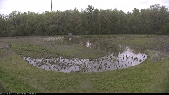 Cell 4_24-05-06_10-21-05-33