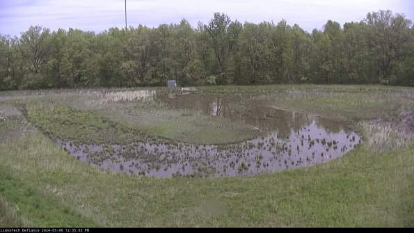 Cell 4_24-05-06_12-35-03-35