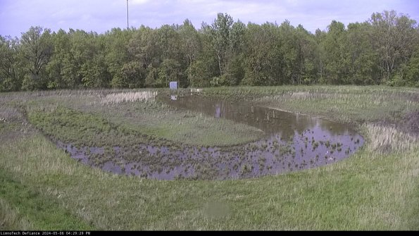 Cell 4_24-05-06_16-29-30-33