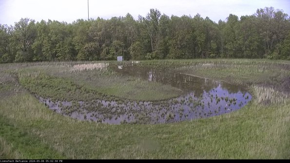 Cell 4_24-05-06_17-02-59-34