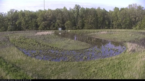 Cell 4_24-05-06_18-43-28-33