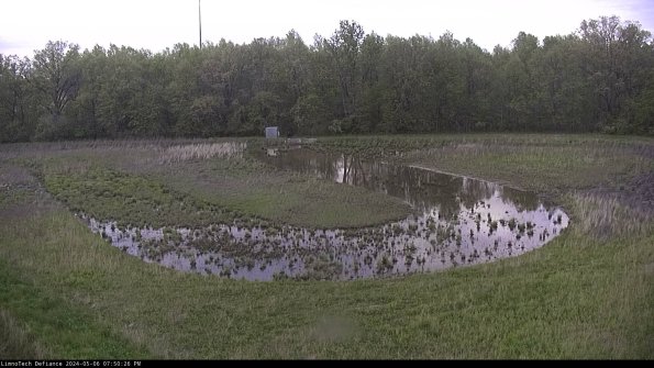 Cell 4_24-05-06_19-50-27-34