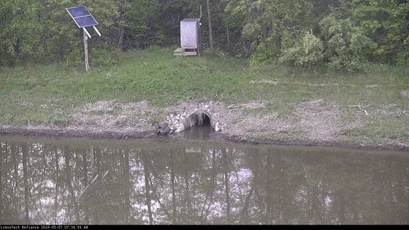 Basin Inflow_24-05-07_07-34-56-52