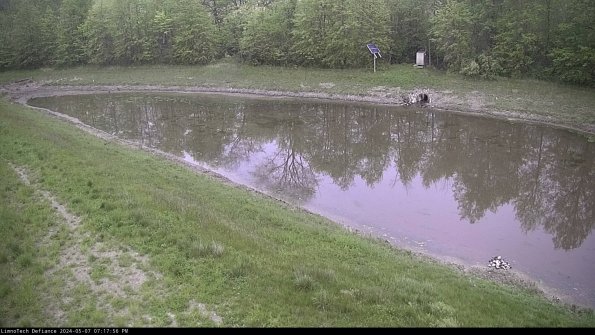 Basin_24-05-07_19-17-57-42