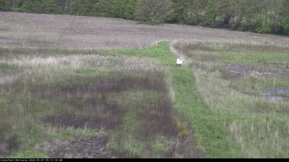 Cell 1 to 2_24-05-07_09-13-19-34