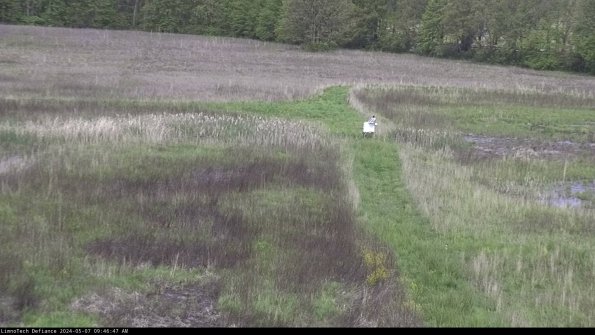 Cell 1 to 2_24-05-07_09-46-48-33