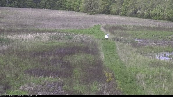 Cell 1 to 2_24-05-07_11-27-17-32