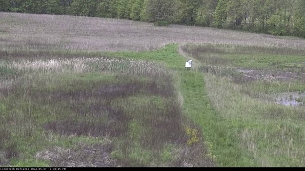 Cell 1 to 2_24-05-07_12-00-46-34