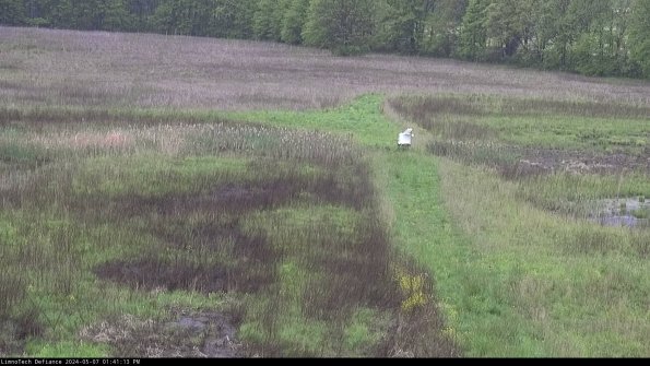 Cell 1 to 2_24-05-07_13-41-14-34