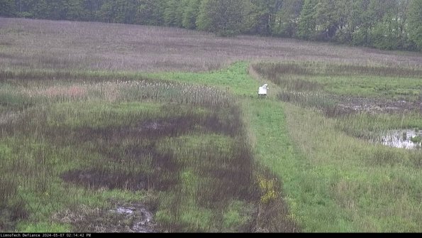 Cell 1 to 2_24-05-07_14-14-43-32