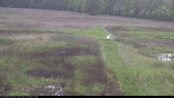 Cell 1 to 2_24-05-07_14-48-12-31