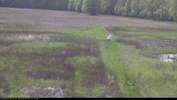 Cell 1 to 2_24-05-07_15-55-11-32