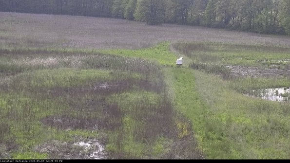 Cell 1 to 2_24-05-07_16-28-40-34