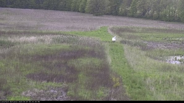 Cell 1 to 2_24-05-07_17-35-39-32