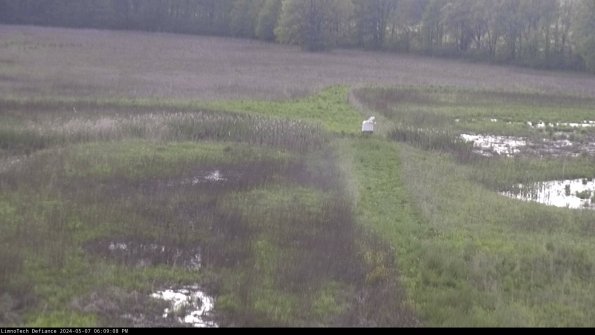 Cell 1 to 2_24-05-07_18-09-09-33