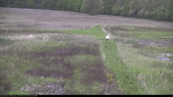 Cell 1 to 2_24-05-07_18-42-37-32