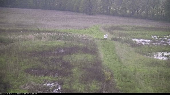 Cell 1 to 2_24-05-07_19-49-35-33