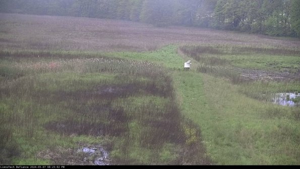 Cell 1 to 2_24-05-07_20-23-03-34