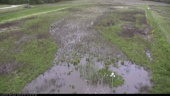 Cell 1_24-05-07_07-32-37-31