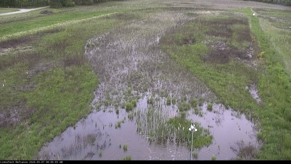 Cell 1_24-05-07_08-06-06-33