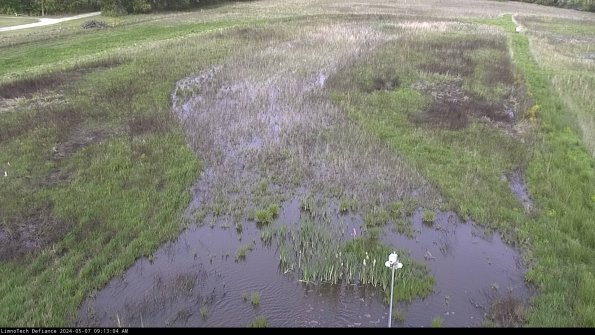 Cell 1_24-05-07_09-13-05-33