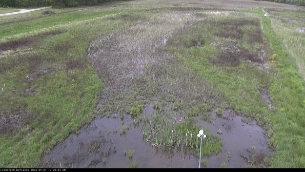 Cell 1_24-05-07_10-20-04-30