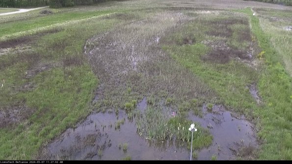 Cell 1_24-05-07_11-27-03-34