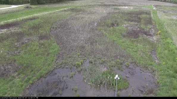 Cell 1_24-05-07_12-00-32-32