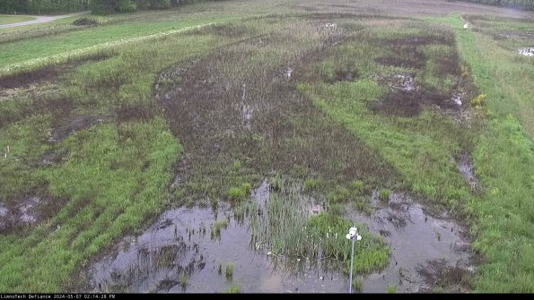 Cell 1_24-05-07_14-14-29-34