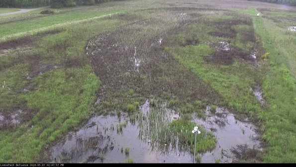 Cell 1_24-05-07_14-47-58-33