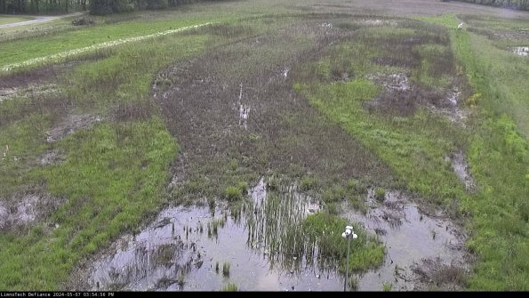 Cell 1_24-05-07_15-54-57-34