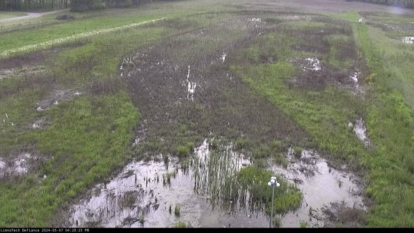 Cell 1_24-05-07_16-28-26-33