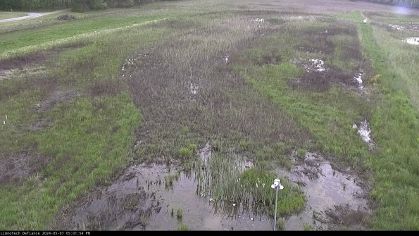 Cell 1_24-05-07_17-01-55-32