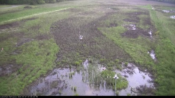 Cell 1_24-05-07_19-49-21-32