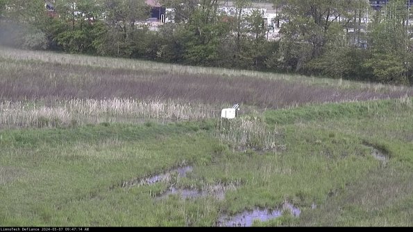 Cell 2 to 3_24-05-07_09-47-14-52