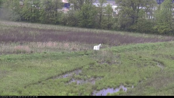 Cell 2 to 3_24-05-07_13-41-40-36