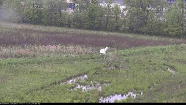 Cell 2 to 3_24-05-07_14-15-09-55