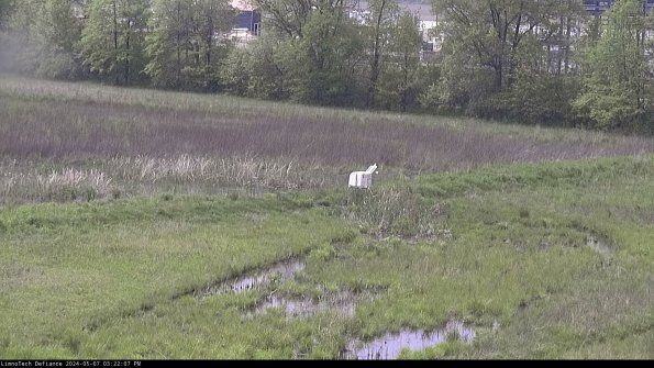 Cell 2 to 3_24-05-07_15-22-07-49