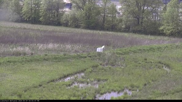 Cell 2 to 3_24-05-07_15-55-37-51