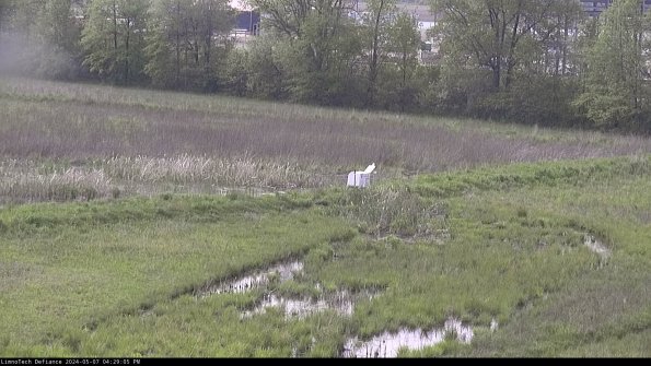 Cell 2 to 3_24-05-07_16-29-06-37